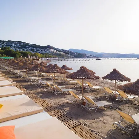 酒店 Cocos The Club 奥塔肯特