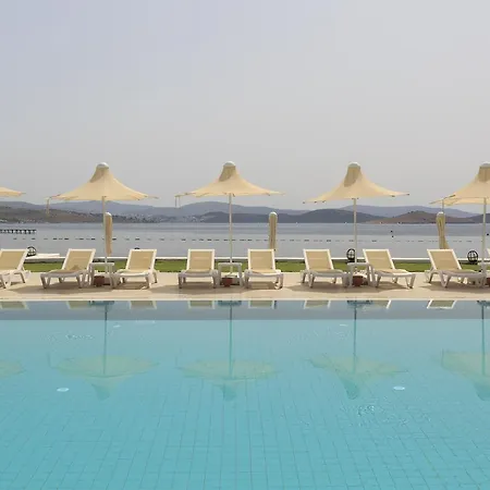 Cocos The Club 4* 奥塔肯特