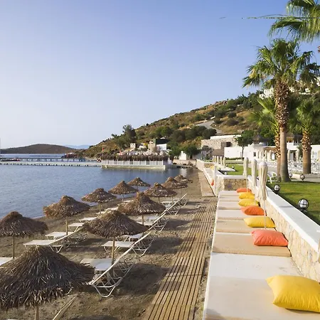 酒店 Cocos The Club