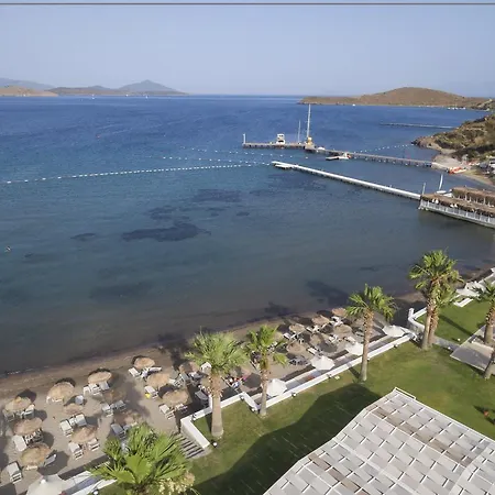 Cocos The Club 酒店