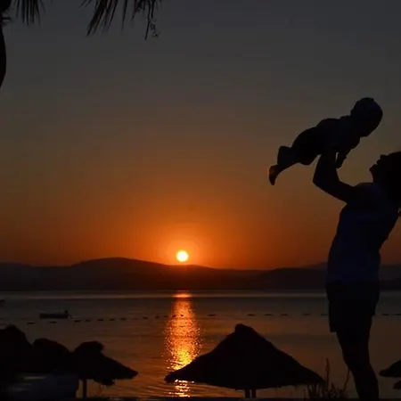 酒店 Cocos The Club