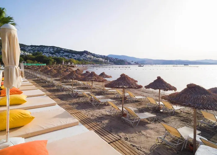 Szálloda Cocos The Club Ortakent