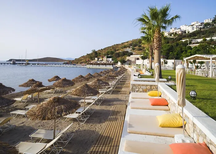 Cocos The Club Hotell Ortakent