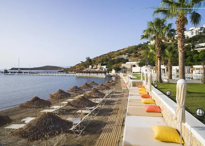 Hotell Cocos The Club