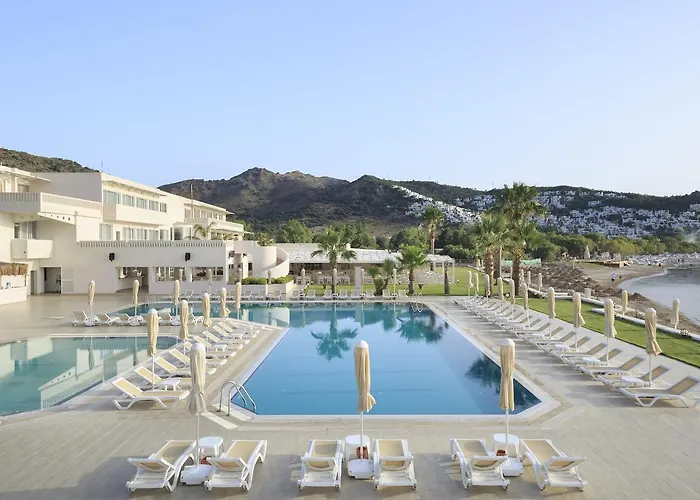 Cocos The Club Hotell 4*