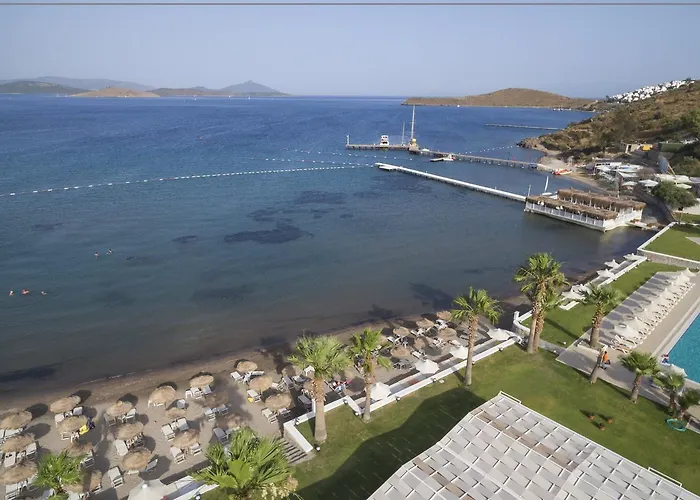 Cocos The Club Hotell